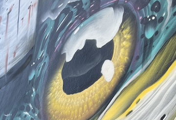 Baionako “Street art” bisita gidatua